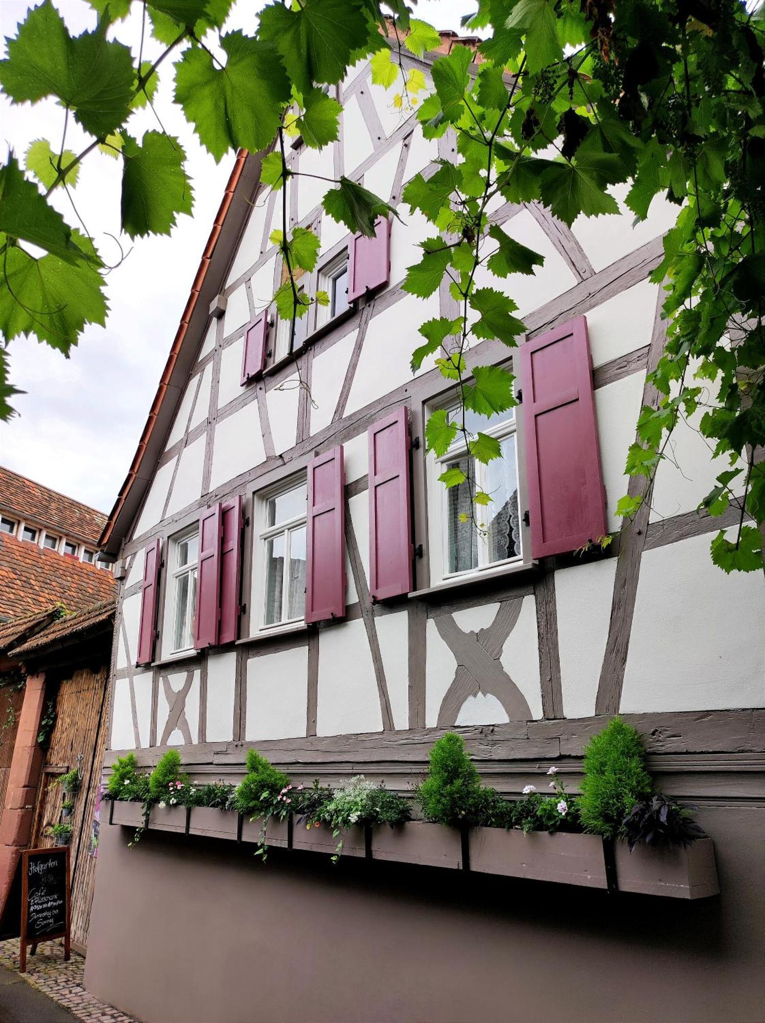 Hofgarten Rosa Ilbesheim bei Landau in der Pfalz エクステリア 写真