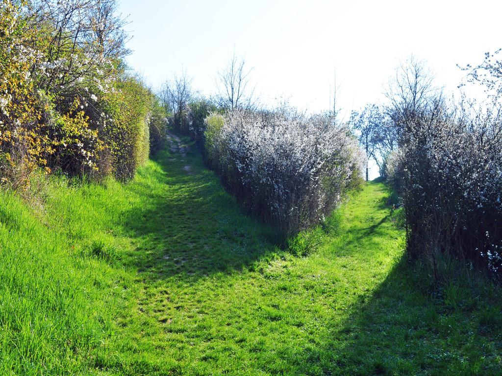 Hofgarten Rosa Ilbesheim bei Landau in der Pfalz エクステリア 写真