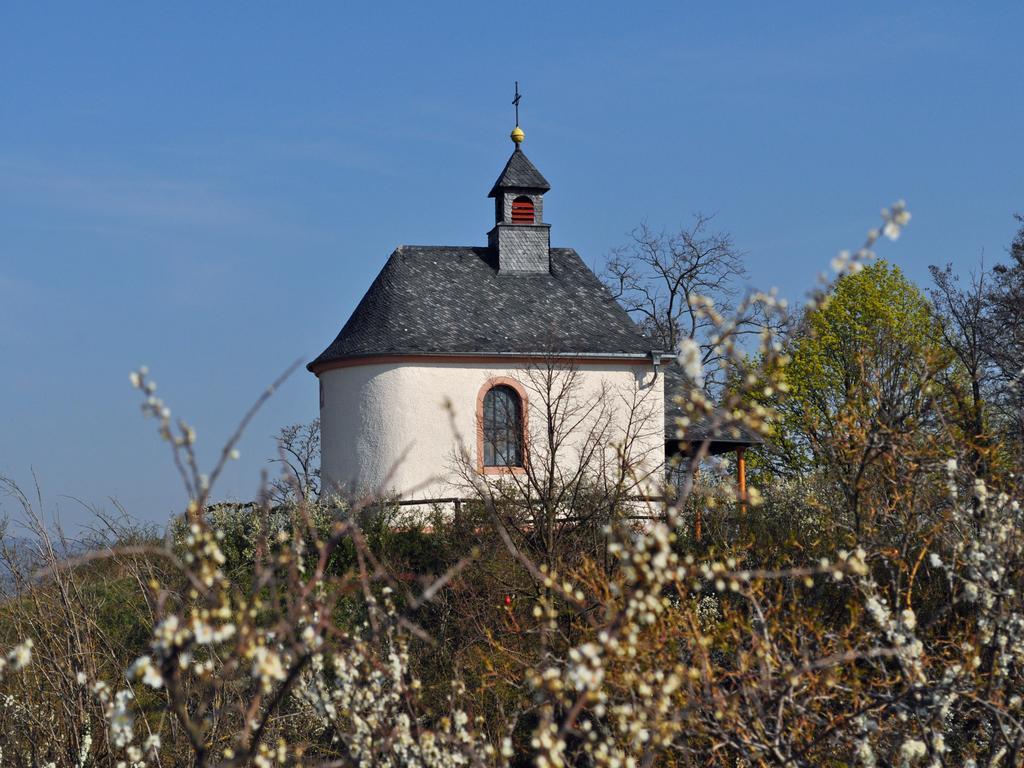 Hofgarten Rosa Ilbesheim bei Landau in der Pfalz エクステリア 写真