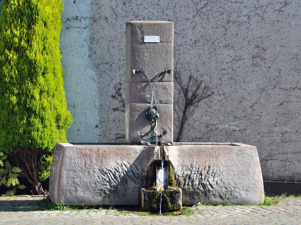 Hofgarten Rosa Ilbesheim bei Landau in der Pfalz エクステリア 写真