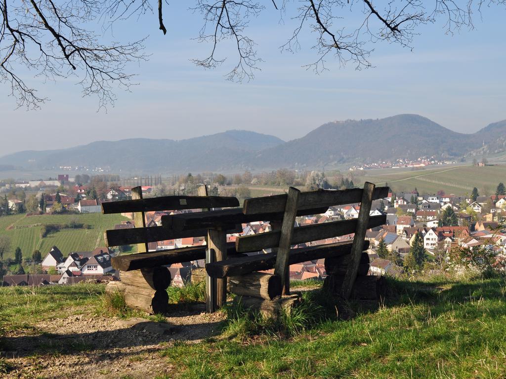 Hofgarten Rosa Ilbesheim bei Landau in der Pfalz エクステリア 写真